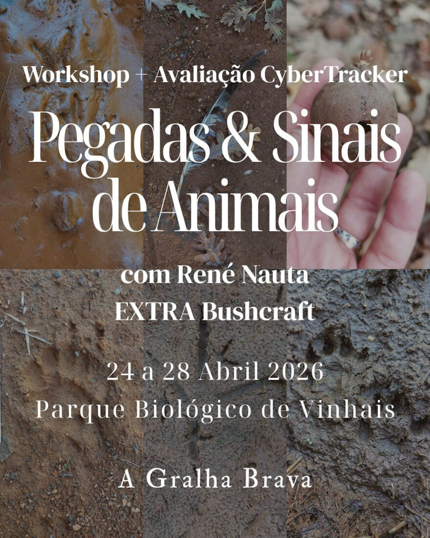 Pegadas & Sinais de Animais Silvestres | 24 a 28 Abril | René Nauta - Image 2