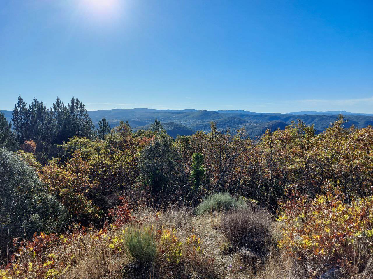 Pegadas & Sinais de Animais Silvestres | 24 a 28 Abril | René Nauta - Image 5
